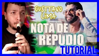 NOTA DE REPÚDIO - GUSTTAVO LIMA - Tutorial flauta doce com notas melódicas