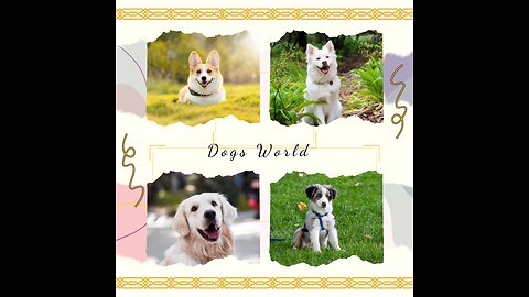Dogs World 🌎🌍🌍🌍