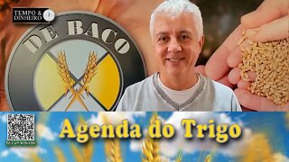 Tudo pode mudar até a safra...