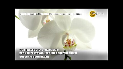 DER KAMPF IST VORÜBER, DIE ARBEIT BEGINNT! - BOTSCHAFT VON BABAJI - LWV