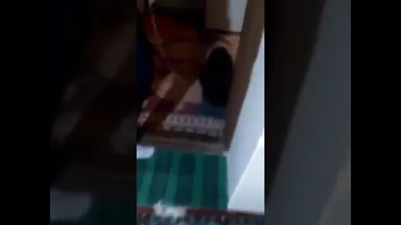 Little creature caught