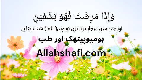 Allahshafi Homeopathy& Herbal