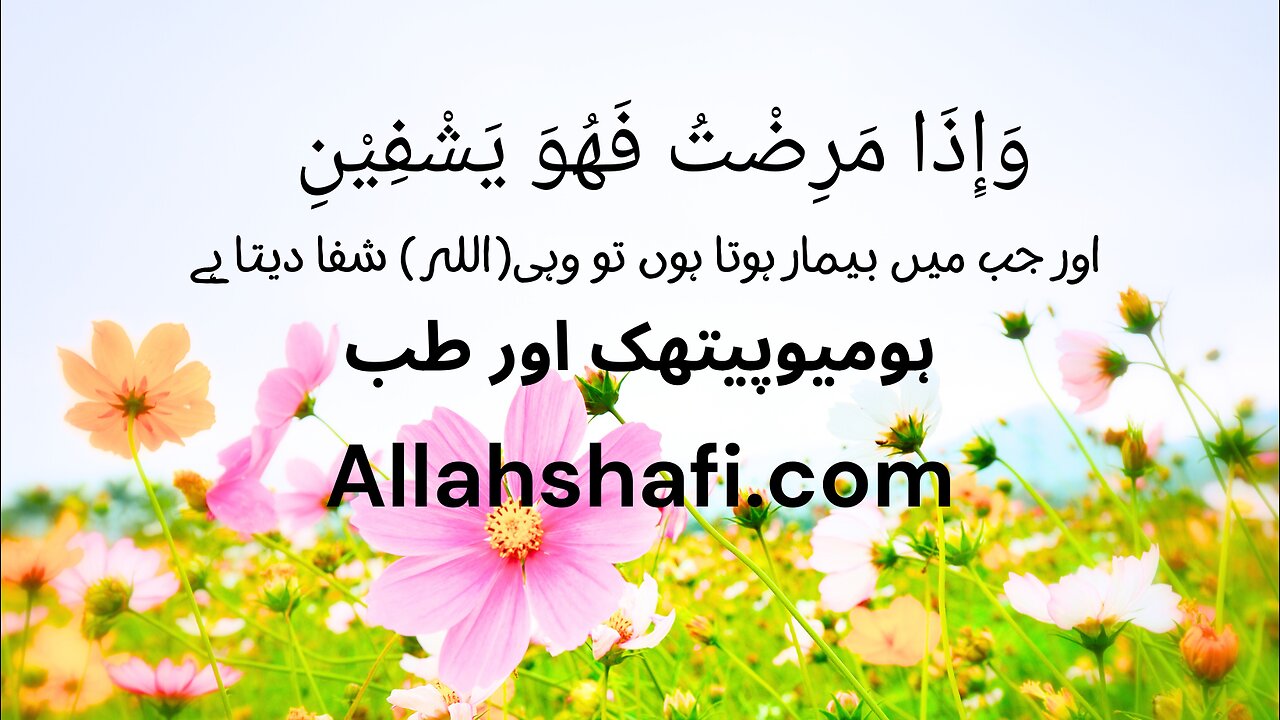 Allahshafi Homeopathy& Herbal