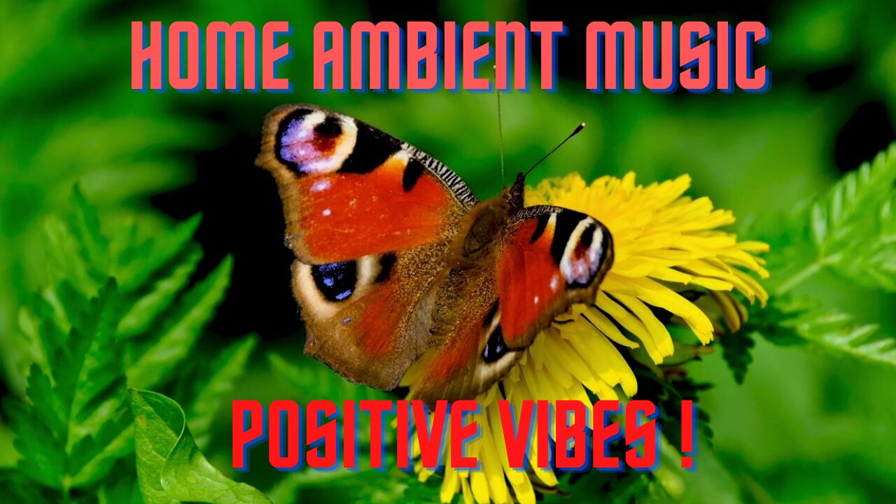 Home ambient music theme butterfly !