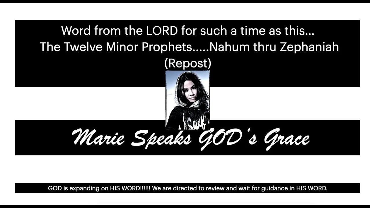 Word from the Lord for such a time as this: The Twelve Minor Prophets.....Nahum thru Zephaniah