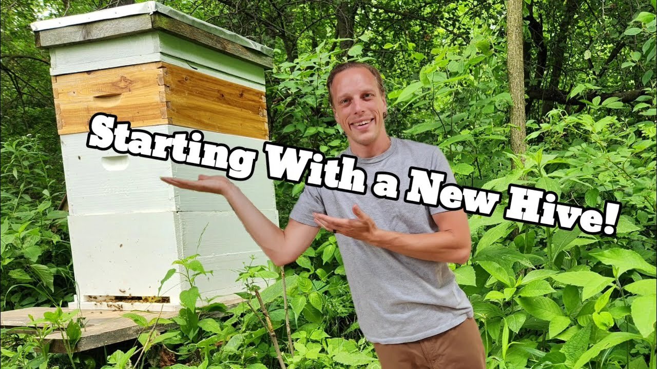 How To Give Your Bees The Best Start!