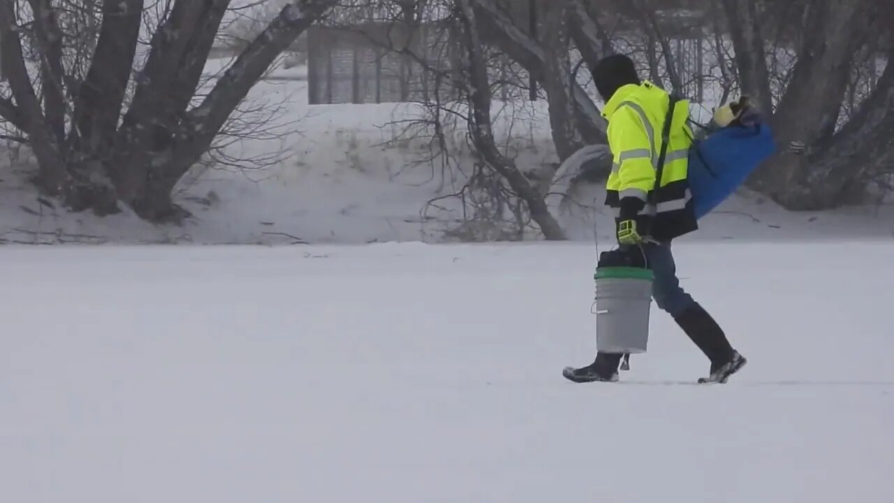 In Search Of ... Global Warming