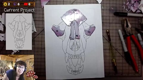 Stained Glass // Bear Skull?!