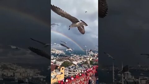 Amazing video views