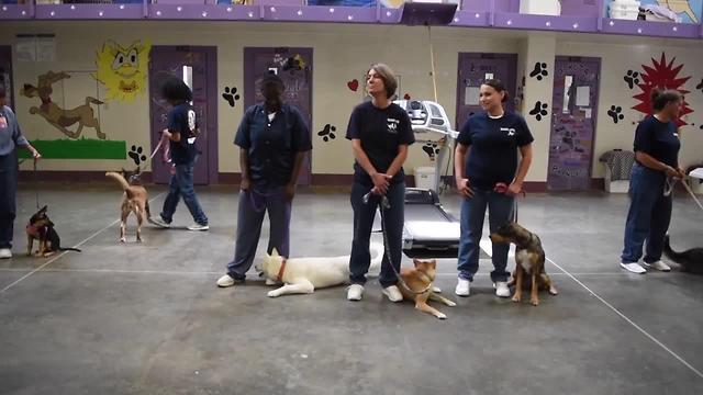 Pups on Parole helps rehabilitate dogs, inmates at Las Vegas prison