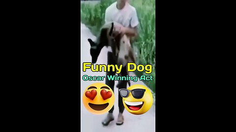 Funny Dog 🤣😃😂 #funny