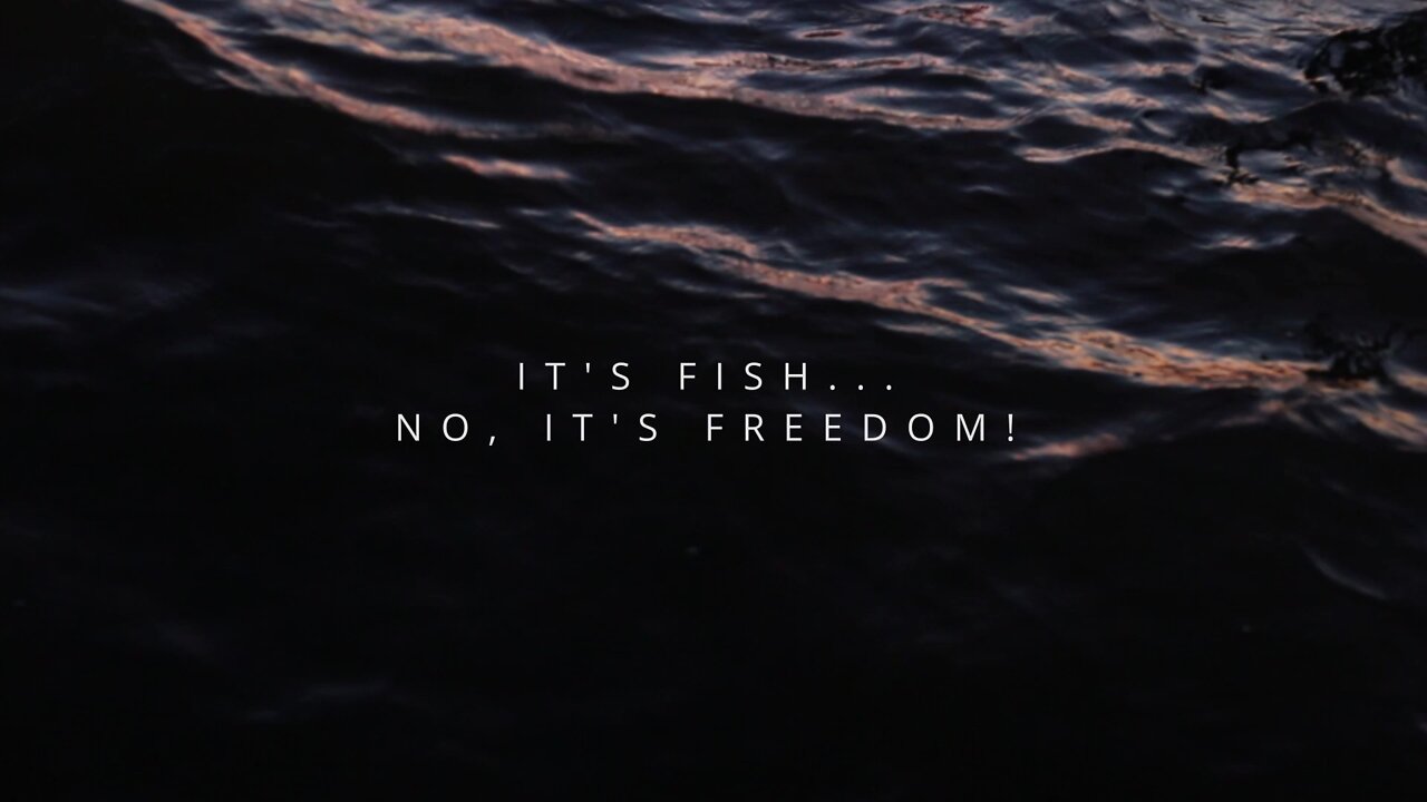 It's Fish... No, It's Freedom - A Fishing Documentary || Full Documentary