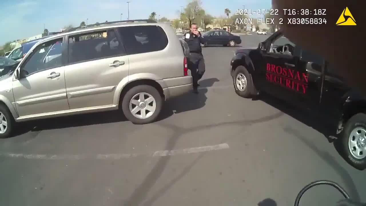 RAW: Vegas police rescue dogs from car