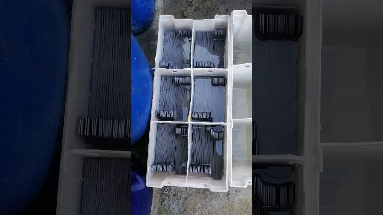 Fresh lead acid battery plates in sulphuric acid.