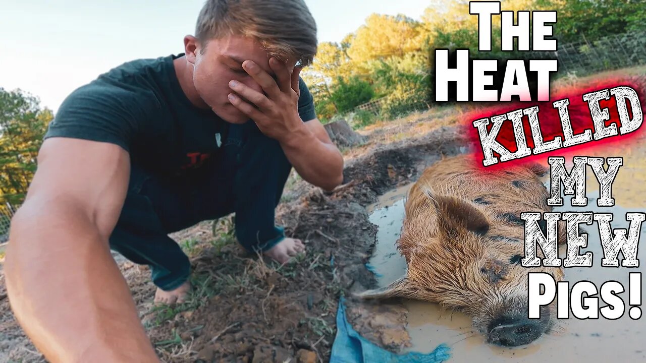 The Heat (KILLED) My New Pigs! ~ (NEW) Farm Animal! ~ Death On The Homestead