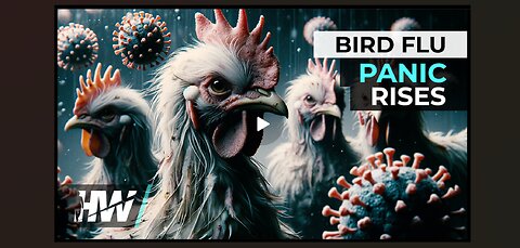 WZRASTA PANIKA PTASIEJ GRYPY