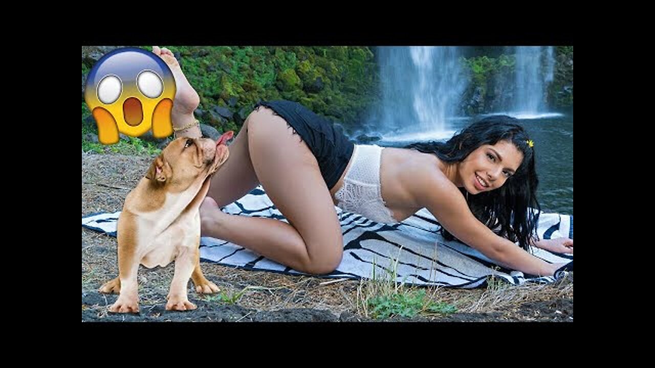 Best Funniest Dogs And Cats 🐱🐶 Funniest Animals Videos 2023 😂