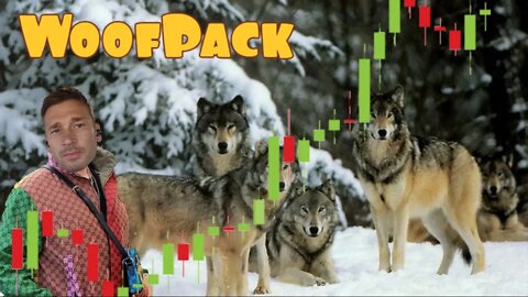 Woof Pack Very Third live-Stream!