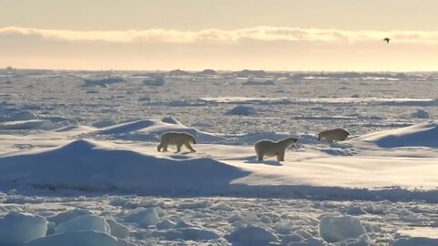 👀 Science on Thin Ice