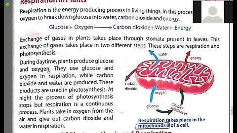 Class 6th Science Respiration Reading