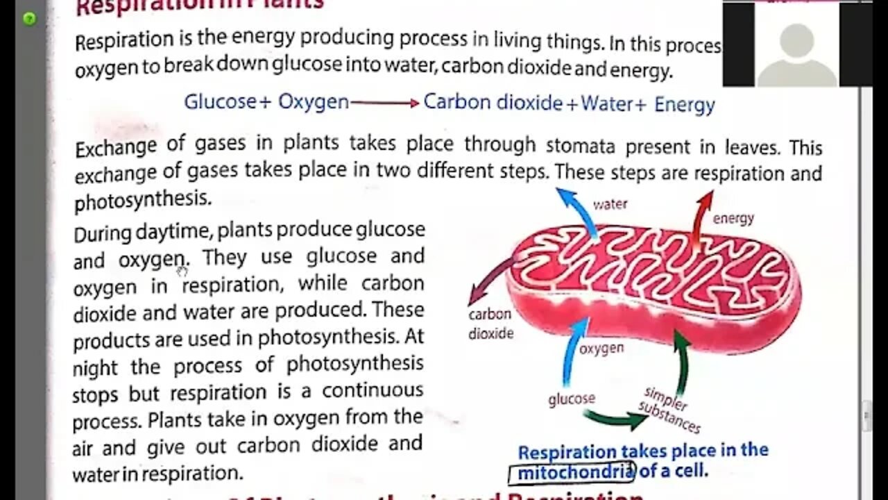 Class 6th Science Respiration Reading