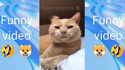 funny cat video 2023😂😂very funny animals😂😂must watch video!!