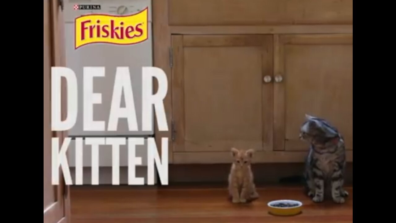 Dear Kitten - Original Ad from Friskies