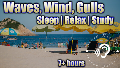 Fall Asleep at the BEACH! Sounds of SUMMER! Waves, Seagulls, Kids Playing, Propeller Planes!