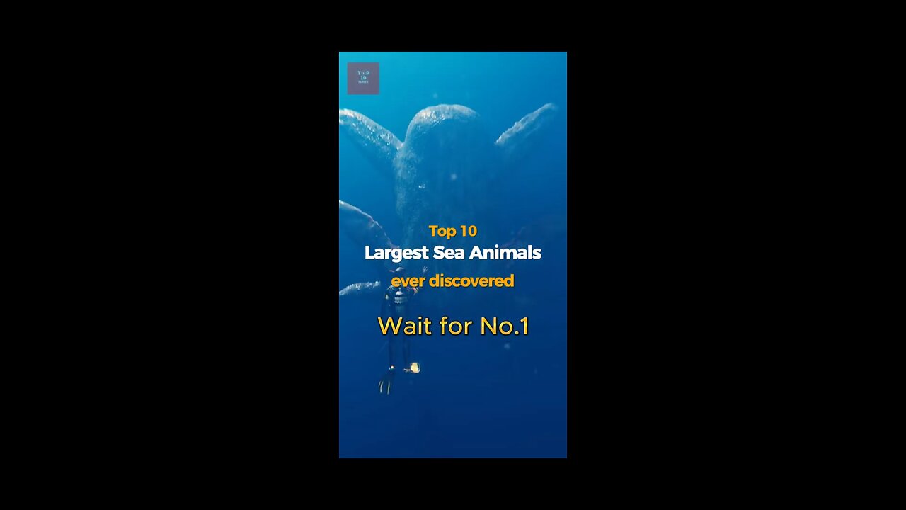 Top 10 Largest Sea Animals