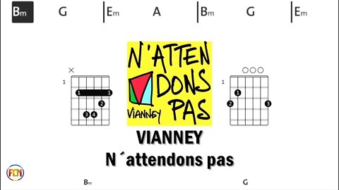 VIANNEY N´attendons pas - (Chords & Lyrics like a Karaoke) HD