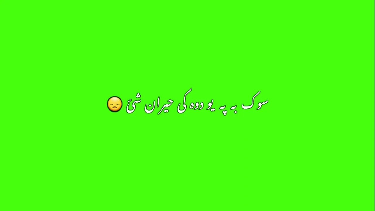 Pashto Green screen shayari Pashto New Poetry Waqar yousafzia #tiktokviral