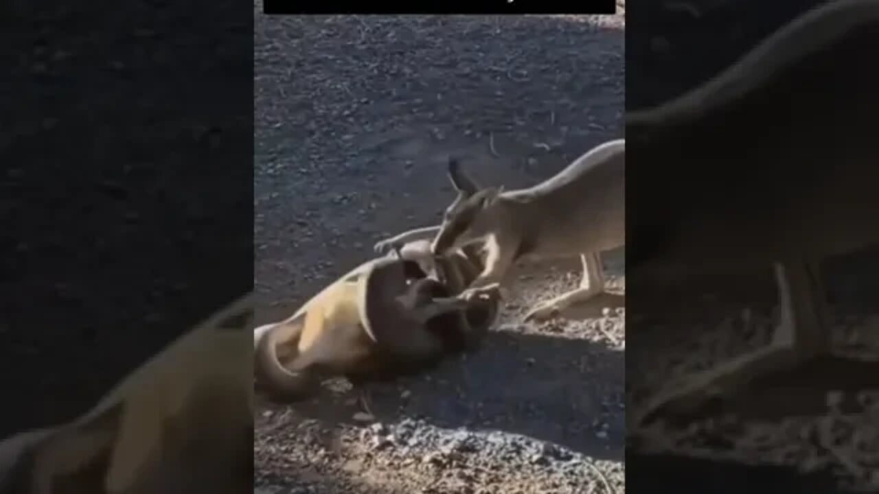 amizade verdadeira é assim
