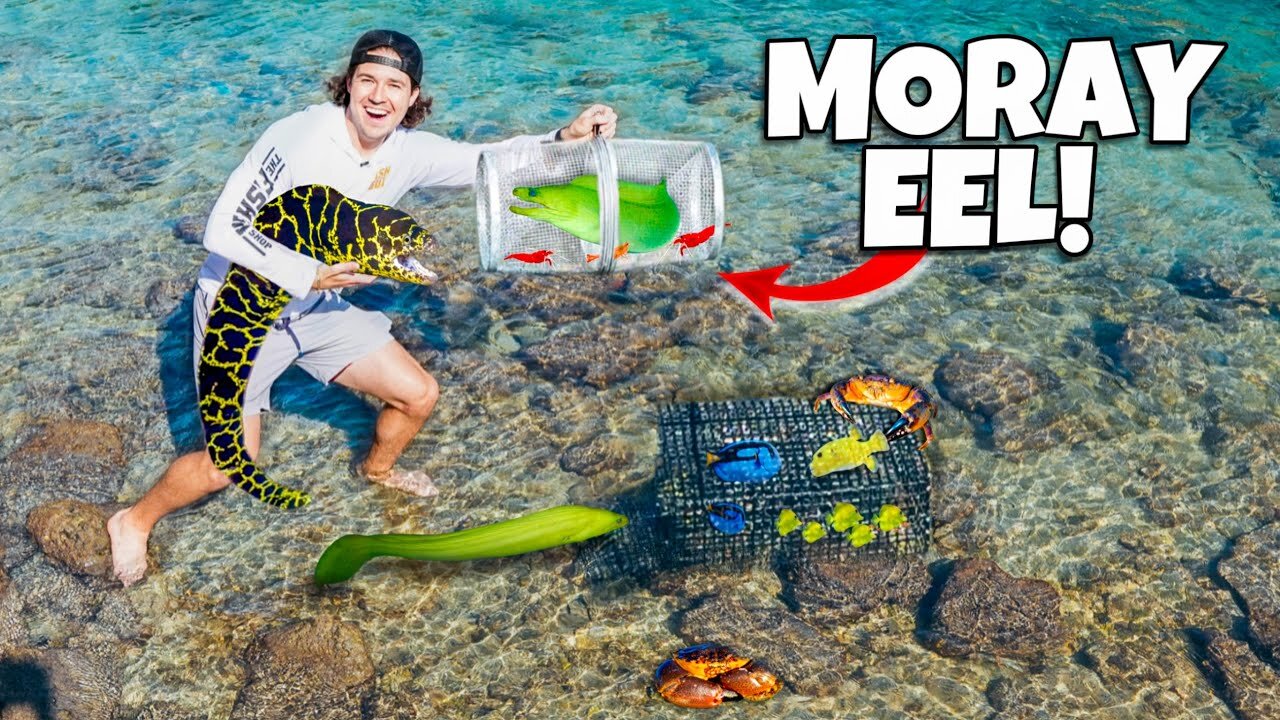 Abandoned FISH TRAP Catches EXOTIC MORAY EEL For My SALTWATER AQUARIUM!