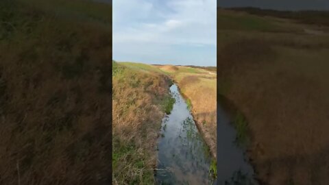 Walking by a stream at the beach