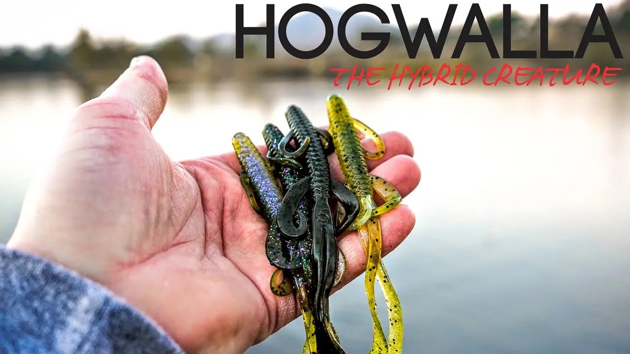 New Product Showcase: Hogwalla 5.8 Hybrid Creature Bait.