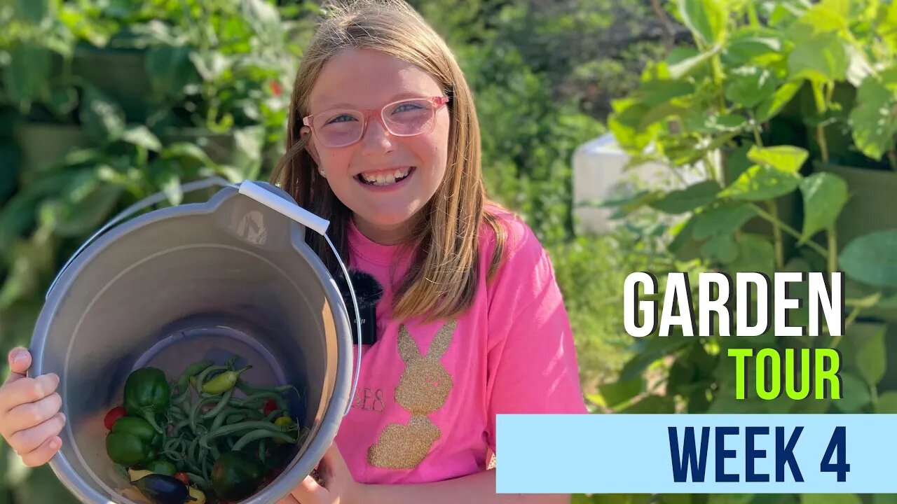 Garden Tour 2022: Week 4 | Oklahoma Zone 7b