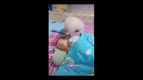 🐕🐕❤️❤️Most heartwarming & touching~ Cute Dog Takes Care Of Cute Baby😘😘