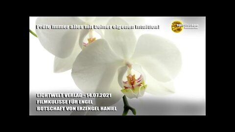 FILMKULISSE FÜR ENGEL - BOTSCHAFT VON ERZENGEL HANIEL - LWV