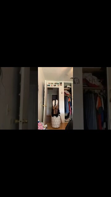 The End 😂😂😂 #viral #shorts #funny #fails