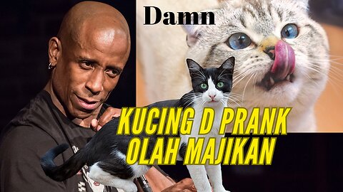 Prank kucing lucu , loncat sampe jatoh jatoh