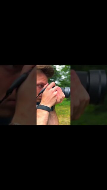 What Are These Red Camera Clips?!?! #shorts