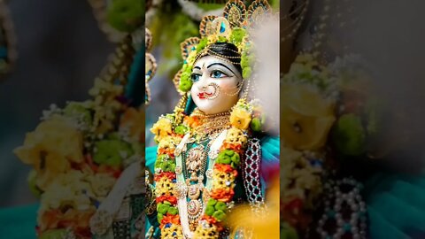 अपनी ठकुरानी श्री राधिका रानी #public #mohit #bhakti #peace #love #reels #video #viral #trending