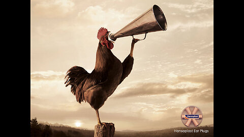 Little Red Rooster In the City