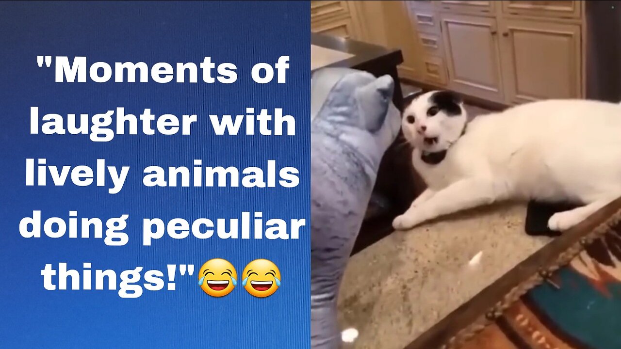 When you tell your dog to 'dig in' and it starts its digging mission!" ππ³οΈπΎπ