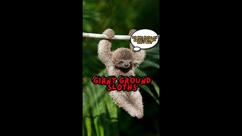 Giant Guardians of the Past: Giant Ground Sloths
