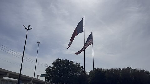 Flags Flying