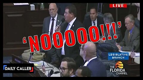 Democrats Melt Down As FL Lawmakers Vote To Eliminate Disney’s Special Tax Privileges