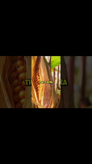 The Alarming Rise of Ultra-Processed Foods #powerproject #processedfoods