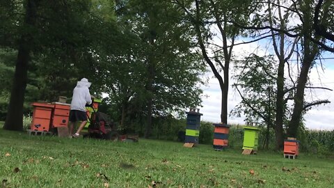 Sept 7, 2019 Lawn Mower vs Bee Hives😱