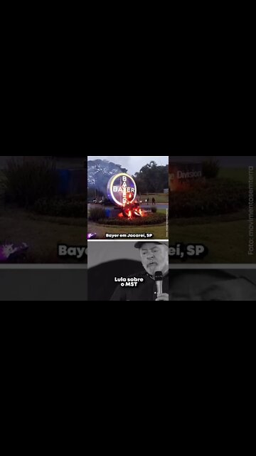 MST acabam de invadir, depredar e incendiar o edifício da Bayer em Jacareí, SP. #mst #lula #shorts